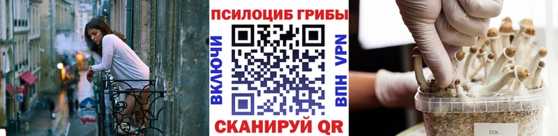 где продают   Тобольск  Псилоцибиновые грибы прущие грибы 