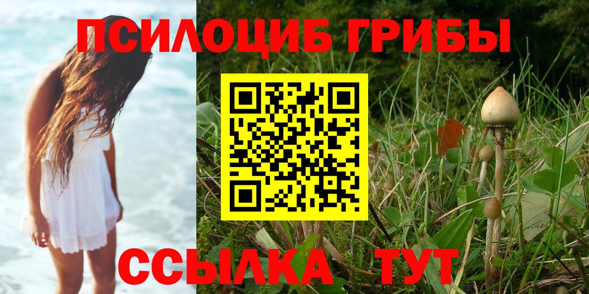 Псилоцибиновые грибы Cubensis Тобольск